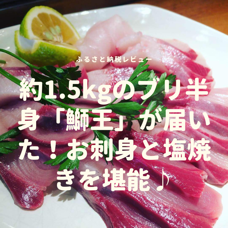 ふるさと納税で、約1.5kgのブリ半身「鰤王」が届いた！お刺身と塩焼きを堪能♪
